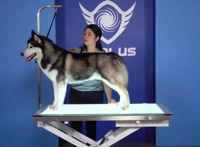 LED Electric Grooming Table (48"x25")