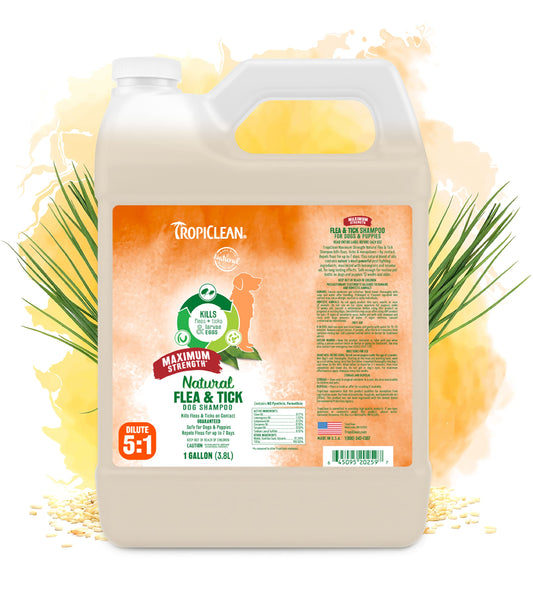 TropiClean Flea & Tick Dog Grooming Shampoo Max Gallon