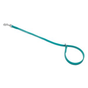 Jelly Pet Waterproof Grooming Slip Style Choker Loop - 1/2" X 30" - Teal