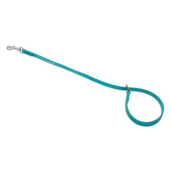 Jelly Pet Waterproof Grooming Slip Style Choker Loop - 1/2" X 30" - Teal