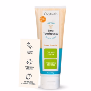 Oxyfresh Flavor Free Teeth Gel Toothpaste 4 oz