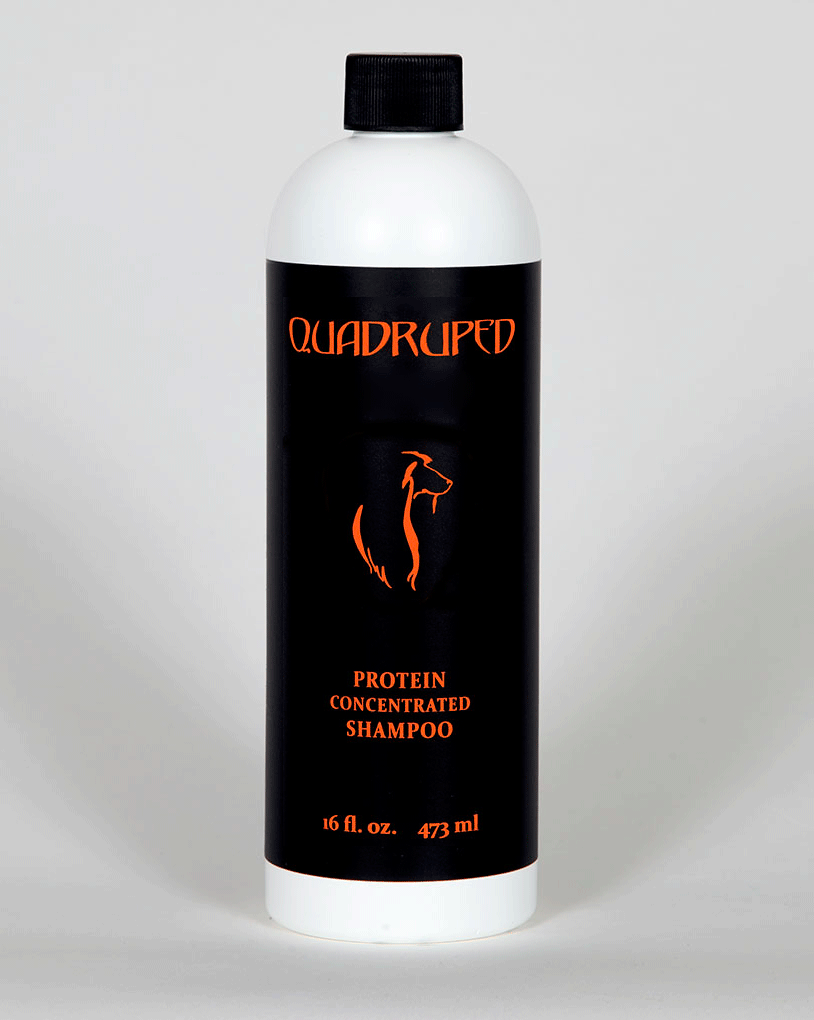 QUADRUPED Protein Shampoo