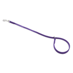 Jelly Pet Slip Style Choker 1/2" x 30" - Purple