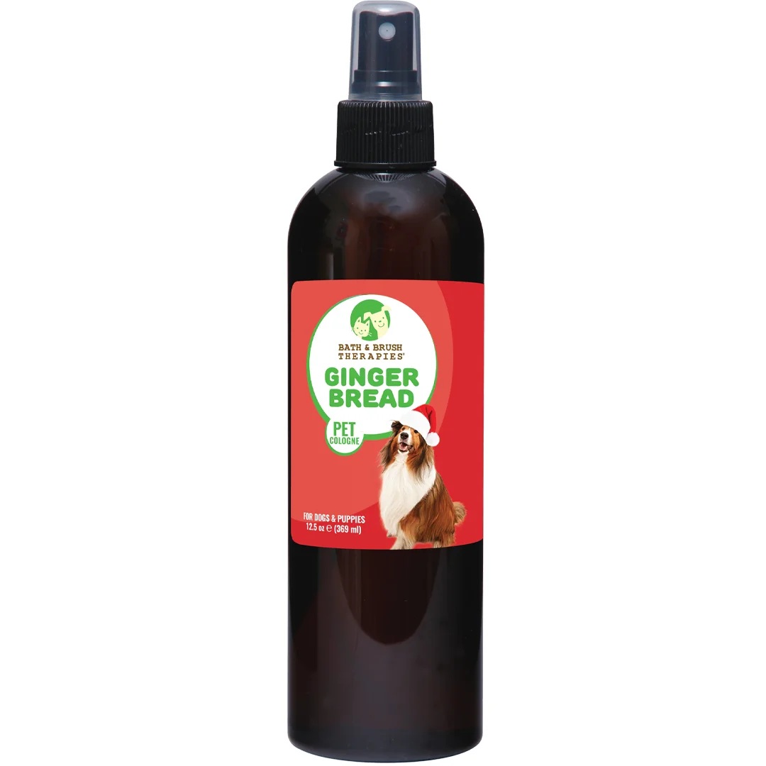 Showseason Gingerbread Cologne 12oz